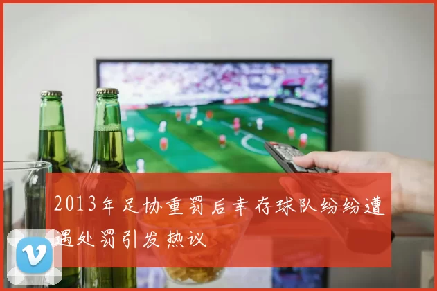 2013年足协重罚后幸存球队纷纷遭遇处罚引发热议