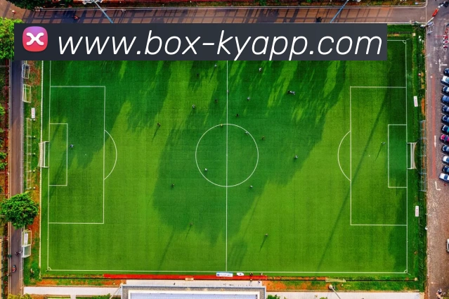 开云体育平台生态图