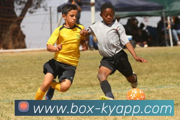 开云体育APP 封面图