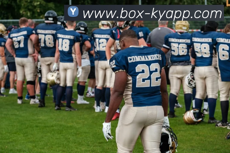 数据防护可视化